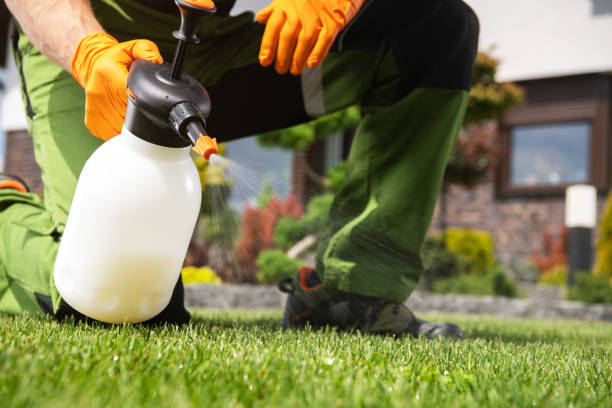 Pest Control Cost in Jackson, SC